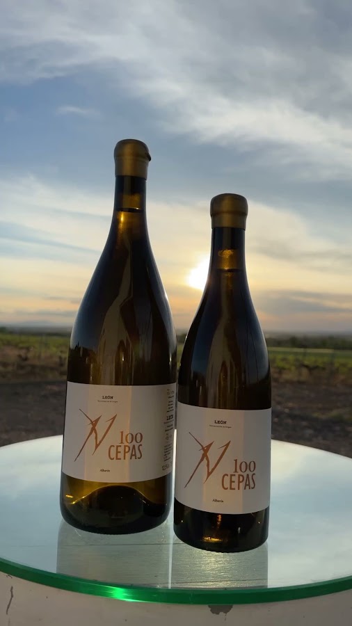 Bodega 100 Cepas