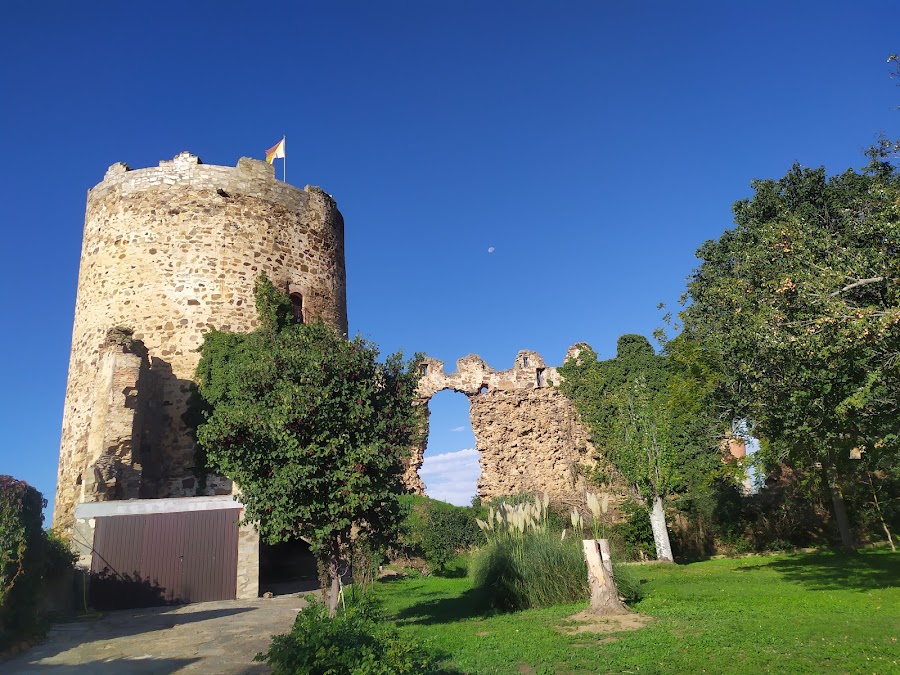 Castillo de Palacios de la Valduerna