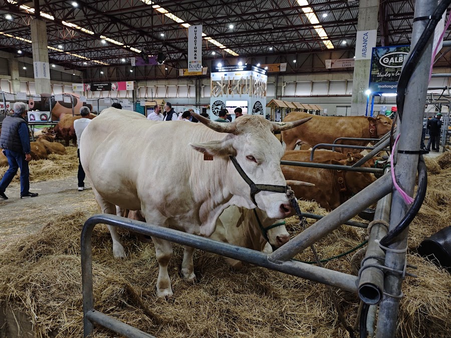 Fundación Semana Verde