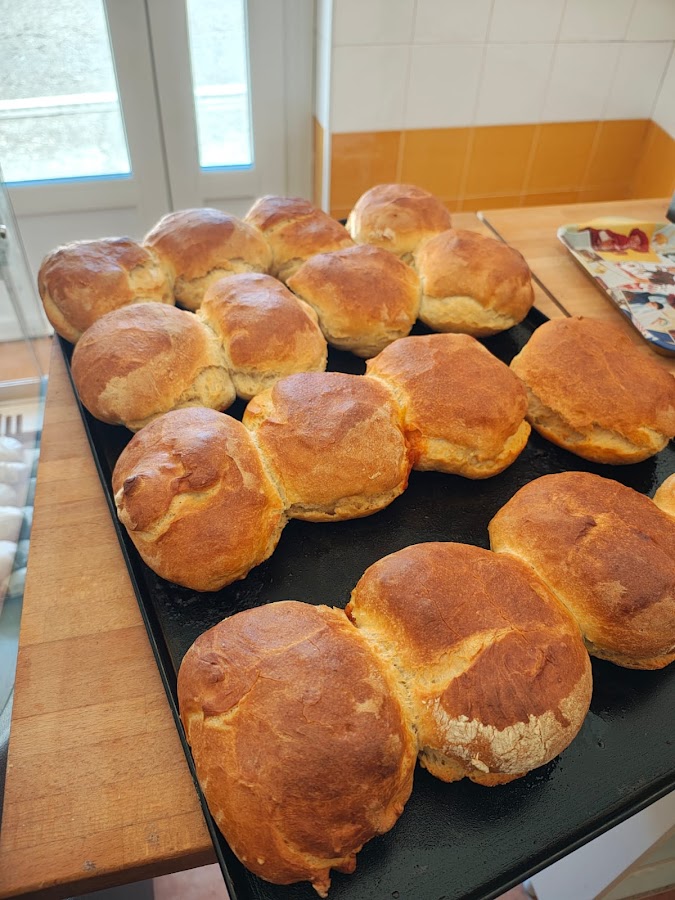 Panaderia Rioseco